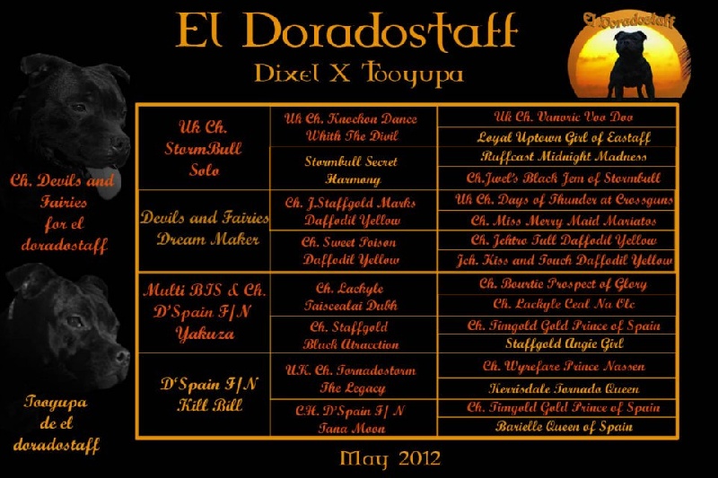 Raissel el doradostaff